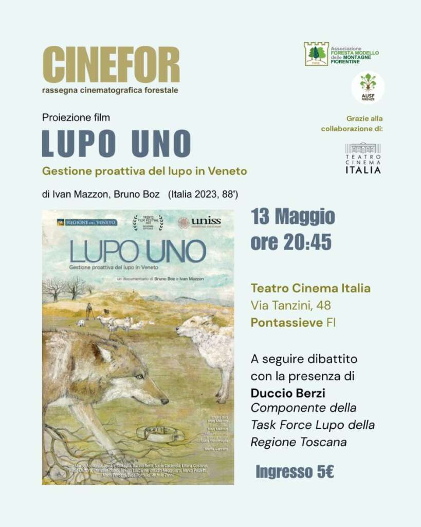 CineFor – Lupo Uno CineFor - Lupo Uno