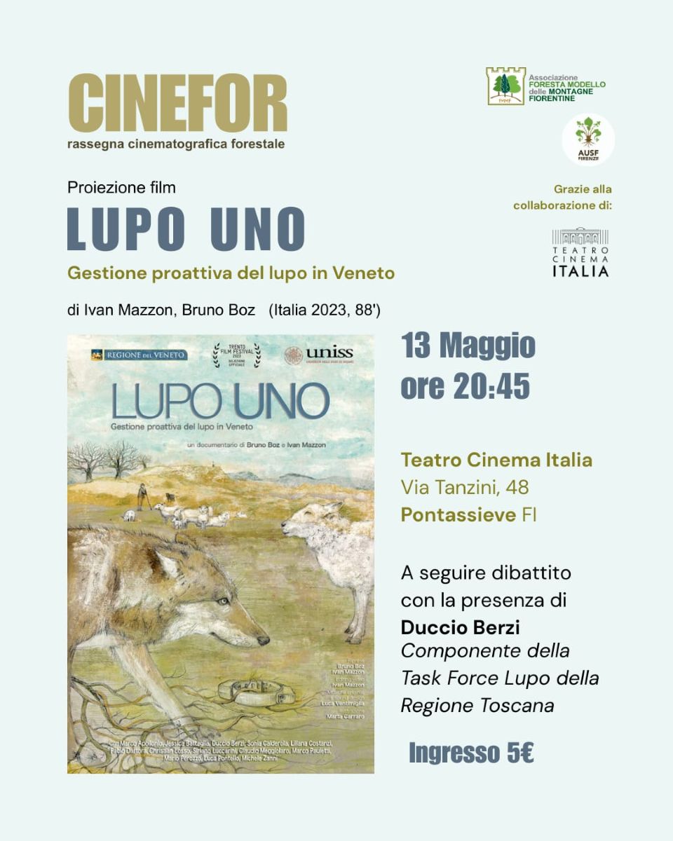 CineFor – Lupo Uno CineFor - Lupo Uno
